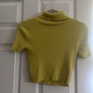 Light Green Cropped Turtle neck